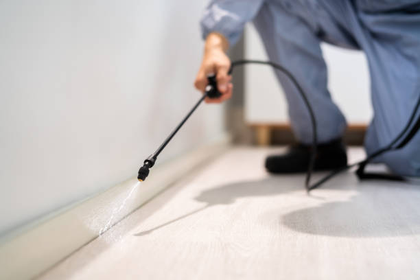 Licensed Termite Control service in Newcastle, CA - Nex Pest Control
