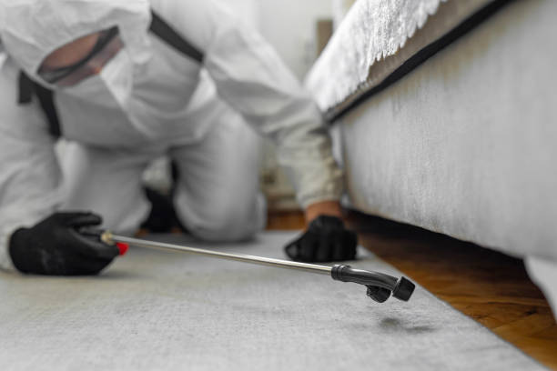 Professional Termite Control technician working in Newcastle, CA