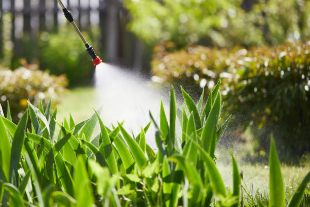 24/7 Emergency Termite Control experts in Newcastle, CA