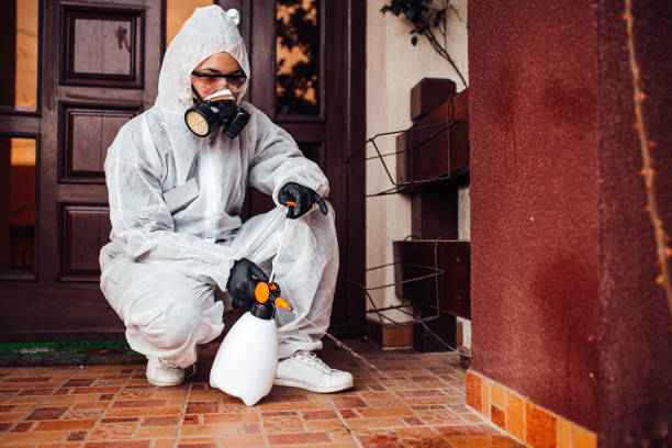 Reliable Termite Control contractor in Newcastle, CA by Nex Pest Control