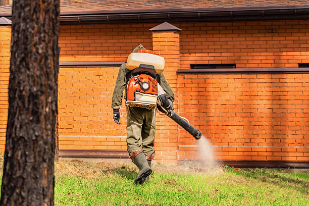 Top rated local Termite Control specialists in Newcastle, CA